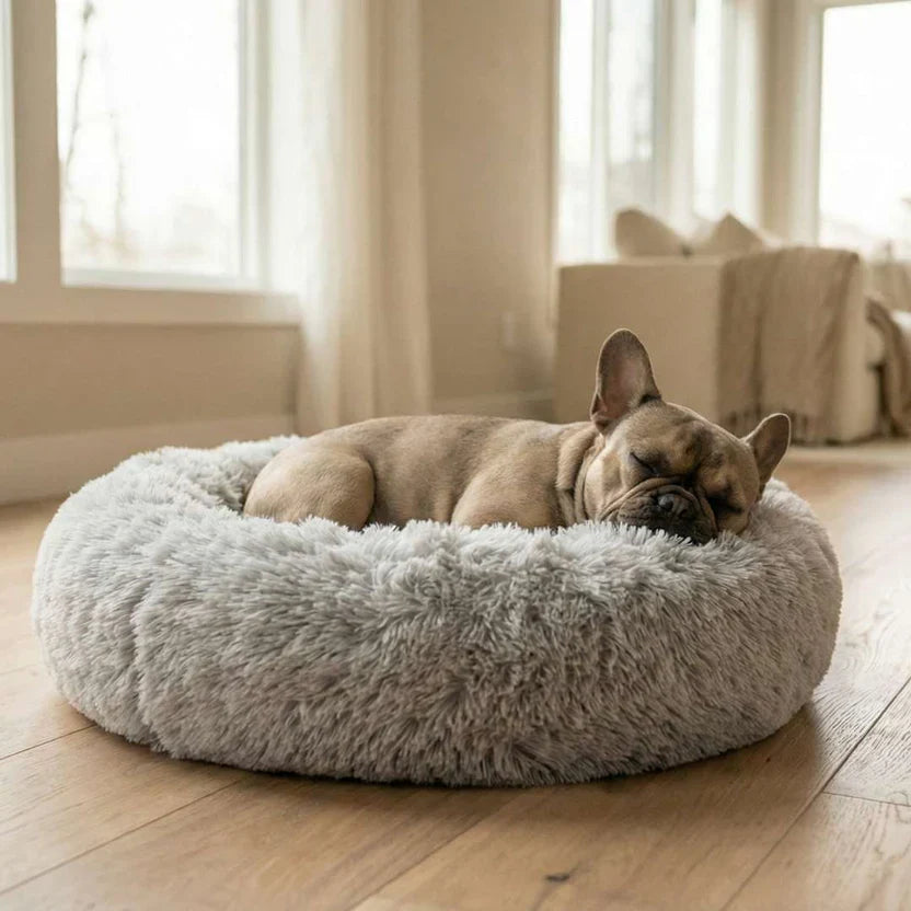 PoochNest.com